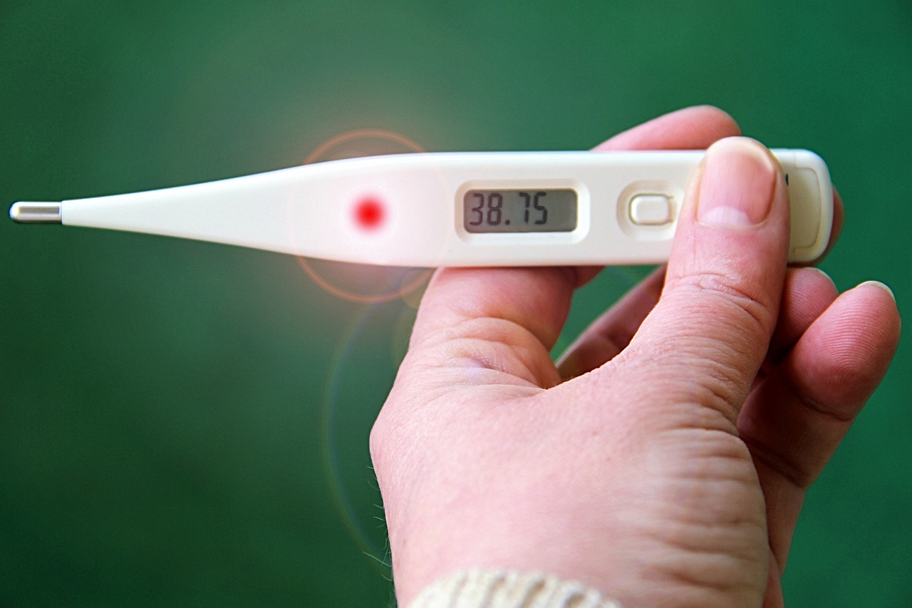 thermometer gbc58a3685 1280